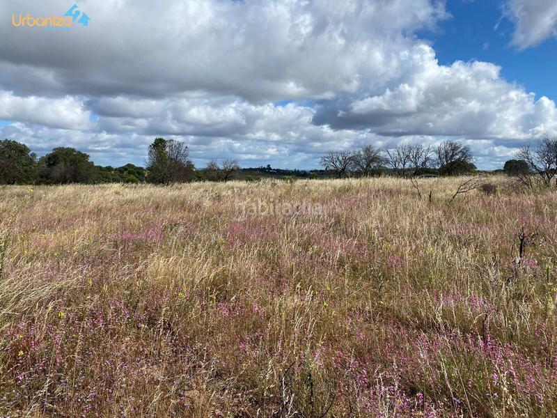 Foto f7fc50bc-2575-4c03-9dd8-2a8e7d0d2c8a. Terreny residencial a Carretera de Sevilla - Los Montitos Badajoz