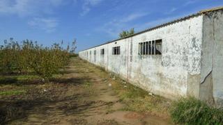 Bâtiment à usage industriel à Puebla de la Calzada. Finca de regadio  de 6135mtrs con  nave ,trastero y pozo en pueb