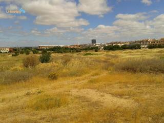 Terreny residencial  Carretera de la banasta. Suelo urbanizable en la banasta