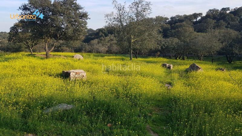 Foto 0376cf4f-dee9-418d-b204-ec048da3cd82. Terreny residencial a calle hortelano a Dehesilla de Calamón - Campomanes Badajoz