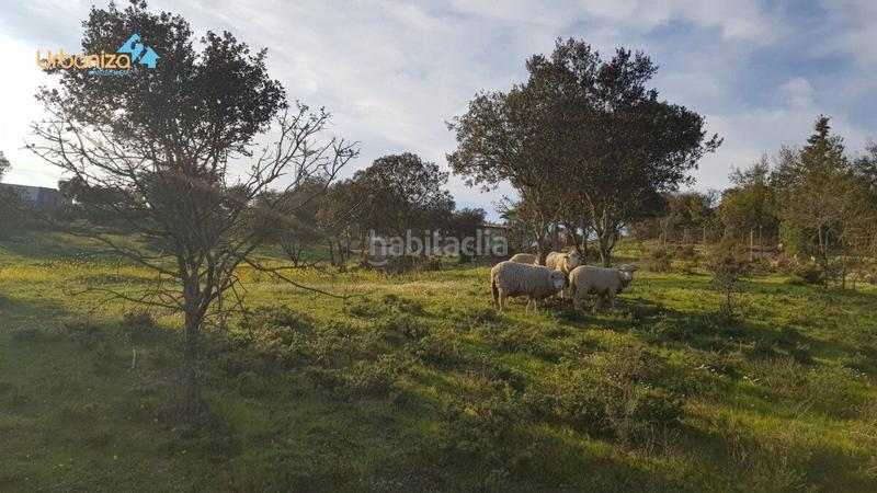 Foto 0449116f-151c-4b0f-b22f-cc2ad444166a. Terreny residencial a calle hortelano a Dehesilla de Calamón - Campomanes Badajoz