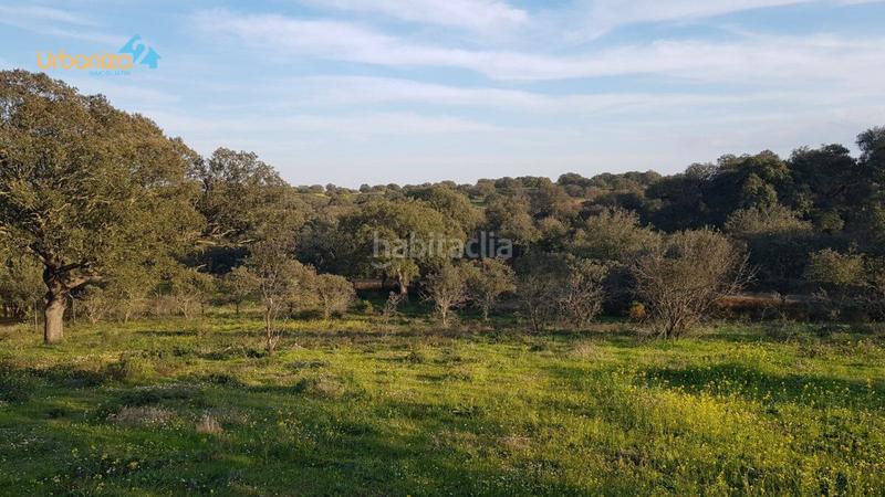 Foto 0afb6121-75f9-4ba4-9fb2-7cc795cbe751. Terreny residencial a calle hortelano a Dehesilla de Calamón - Campomanes Badajoz