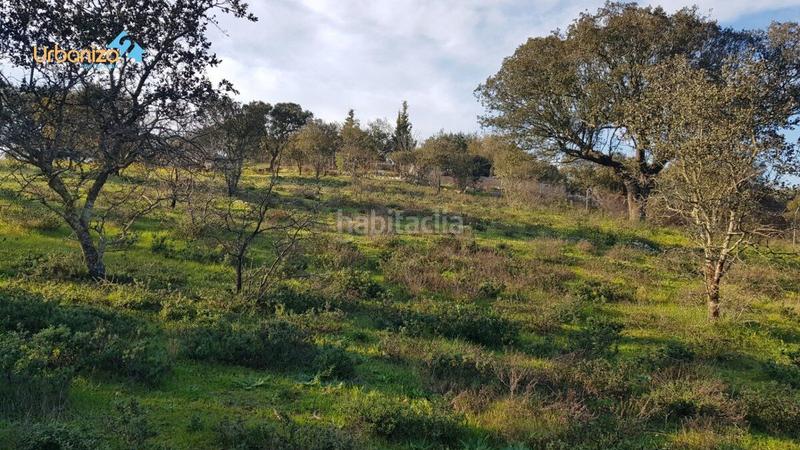 Foto 22950379-4709-4cf8-8fa1-bf76d7c1300b. Terreny residencial a calle hortelano a Dehesilla de Calamón - Campomanes Badajoz