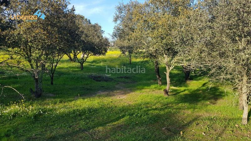 Foto 3bc40737-9454-4c91-8835-b635d81d44eb. Terreny residencial a calle hortelano a Dehesilla de Calamón - Campomanes Badajoz