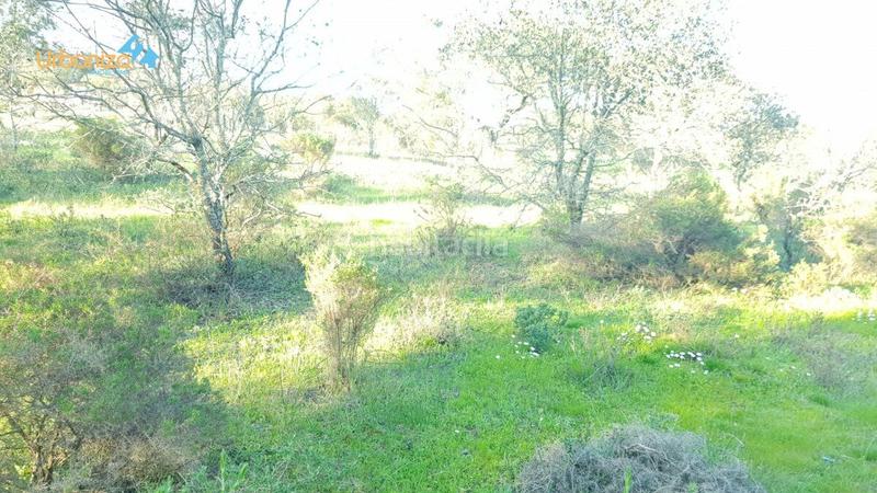 Foto 69afa715-6eb7-40fa-8c98-fc3203e00634. Terreny residencial a calle hortelano a Dehesilla de Calamón - Campomanes Badajoz