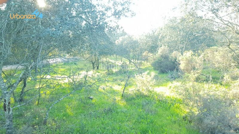 Foto 931efc5a-8f2b-4b81-9a83-3359f7d692cc. Terreny residencial a calle hortelano a Dehesilla de Calamón - Campomanes Badajoz