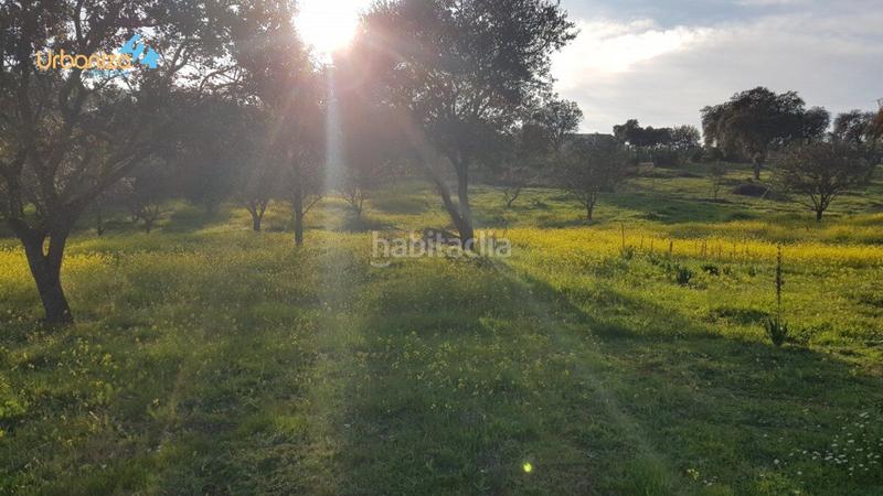 Foto 9a35a8a1-57af-4ab6-868f-5684fa8aa8a0. Terreny residencial a calle hortelano a Dehesilla de Calamón - Campomanes Badajoz