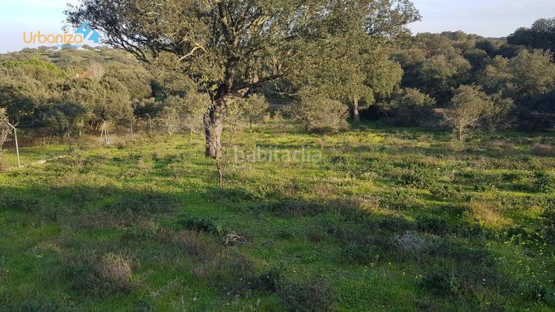 Foto 9e805c2c-2c9a-40d3-b58b-8295295e2bd8. Terreny residencial a calle hortelano a Dehesilla de Calamón - Campomanes Badajoz