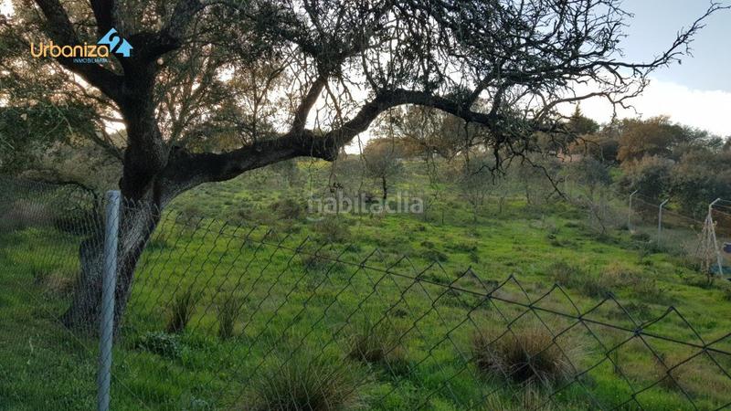 Foto abe7d045-3178-4ceb-97ac-b5b24fa5b222. Terreny residencial a calle hortelano a Dehesilla de Calamón - Campomanes Badajoz