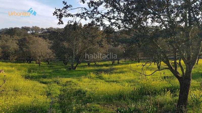 Foto ef868dd8-4acf-4f88-a6ee-4fd03a45fc3a. Terreny residencial a calle hortelano a Dehesilla de Calamón - Campomanes Badajoz
