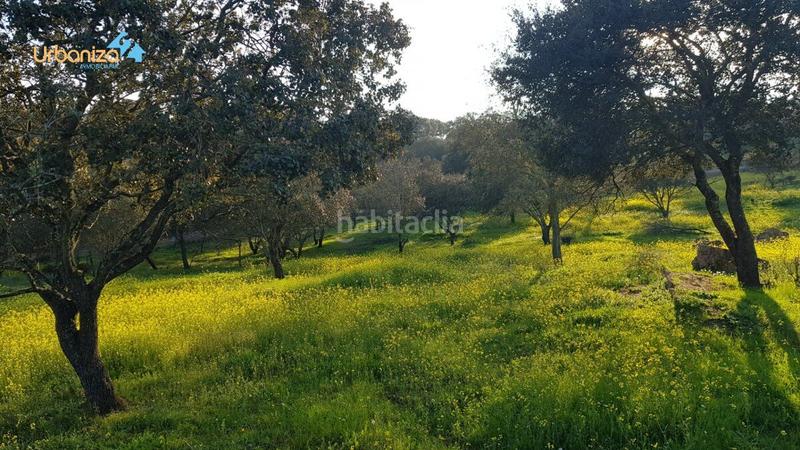 Foto f1fe2ff2-d09f-4919-8e01-b920a08e69fb. Terreny residencial a calle hortelano a Dehesilla de Calamón - Campomanes Badajoz