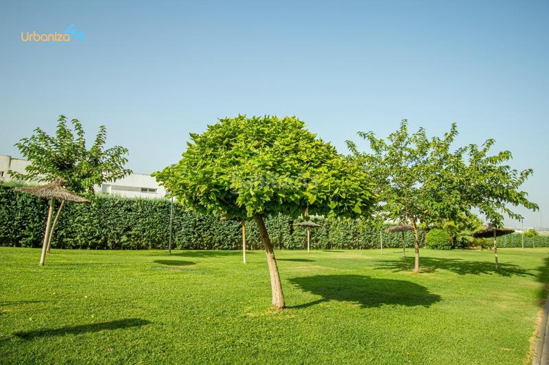 Foto 406a110c-307e-4371-9442-fdcd1f964edc. Pis amb aparcament piscina a Golf Guadiana Badajoz