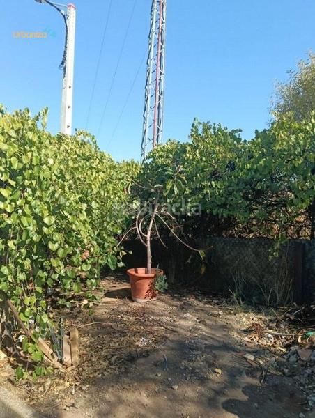 Foto b7ac2148-cdcd-43f5-9d3d-a027b6671475. Xalet amb aparcament a Carretera de Sevilla - Los Montitos Badajoz