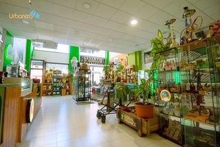 Local Comercial a San Roque - Ronda Norte. Expectacular local situado en la zona comercial de san roque con