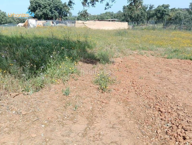 Foto a509d94c-e32a-4f1f-bc4b-93e66154b80a. Terreny residencial a Dehesilla de Calamón - Campomanes Badajoz
