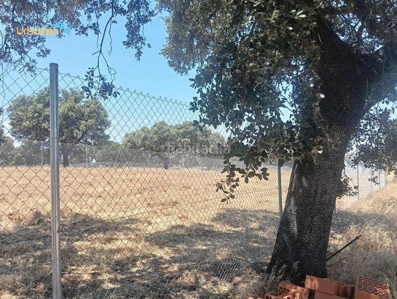 Foto e67a32ca-e51a-4589-8f57-2f6cf28f9cc5. Terreny residencial a Dehesilla de Calamón - Campomanes Badajoz