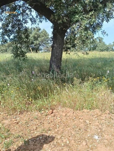Foto e6bd9a30-36b6-4d72-abbe-f46a0a2a812a. Terreny residencial a Dehesilla de Calamón - Campomanes Badajoz