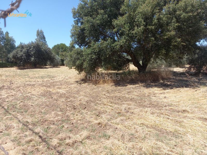 Foto 22e79a7f-f1a6-4c7a-90e1-129aa1e18bf5. Terreny residencial a Dehesilla de Calamón - Campomanes Badajoz