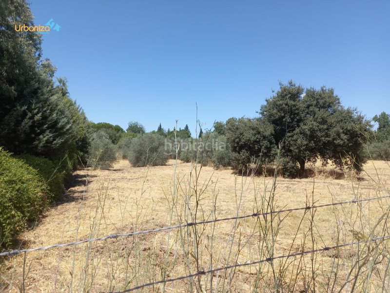Foto 6a00fa42-ecc0-44a1-a13d-e0bc12c1d380. Terreny residencial a Dehesilla de Calamón - Campomanes Badajoz