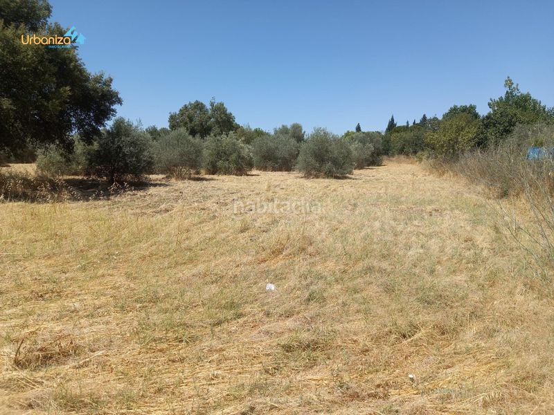 Foto b404c618-fc96-4675-acb2-7c1120b22253. Terreny residencial a Dehesilla de Calamón - Campomanes Badajoz