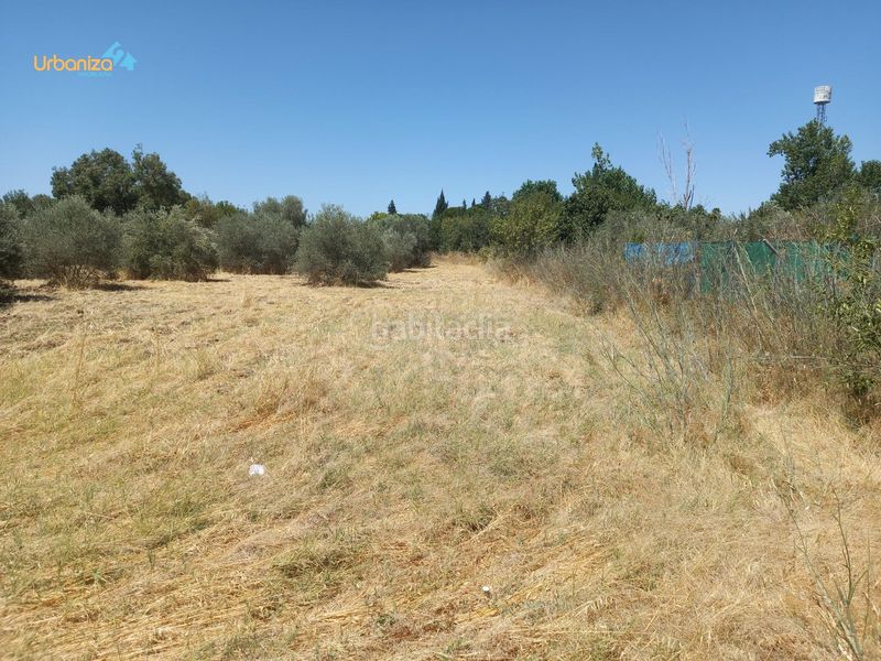 Foto c5995115-d970-4f49-b2fd-c42d1e48b646. Terreny residencial a Dehesilla de Calamón - Campomanes Badajoz