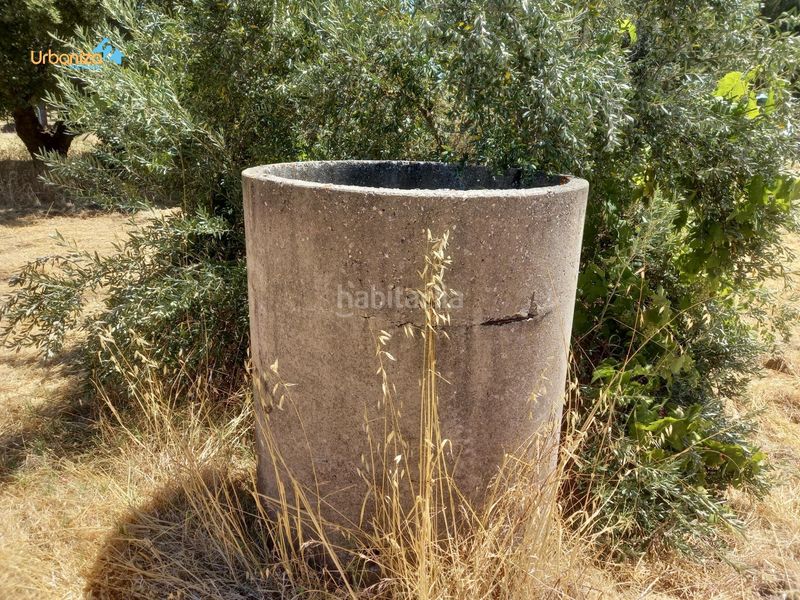 Foto ce8030c7-eacf-4bc3-b3f7-30ff8c84c786. Terreny residencial a Dehesilla de Calamón - Campomanes Badajoz