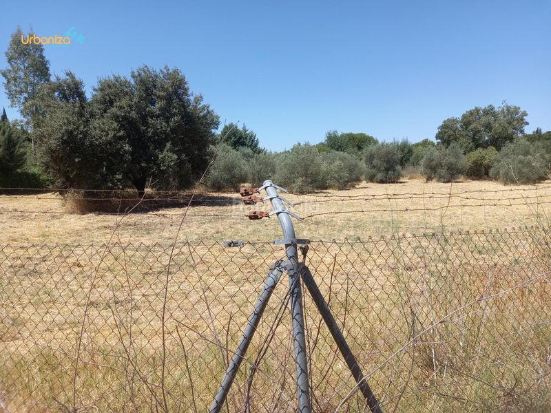 Foto f1ffb87f-2851-4086-9a47-0a6a10a3e781. Terreny residencial a Dehesilla de Calamón - Campomanes Badajoz