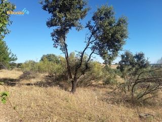 Wohngrundstück  Camino viejo de talavera. km 5. Parcela rústica de 2.400 m2.