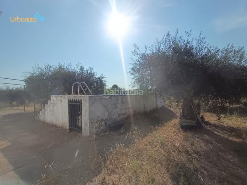 Foto d1e12997-943a-443b-a60a-5ae91d71f80d. Xalet amb aparcament piscina a Las Vaguadas Badajoz