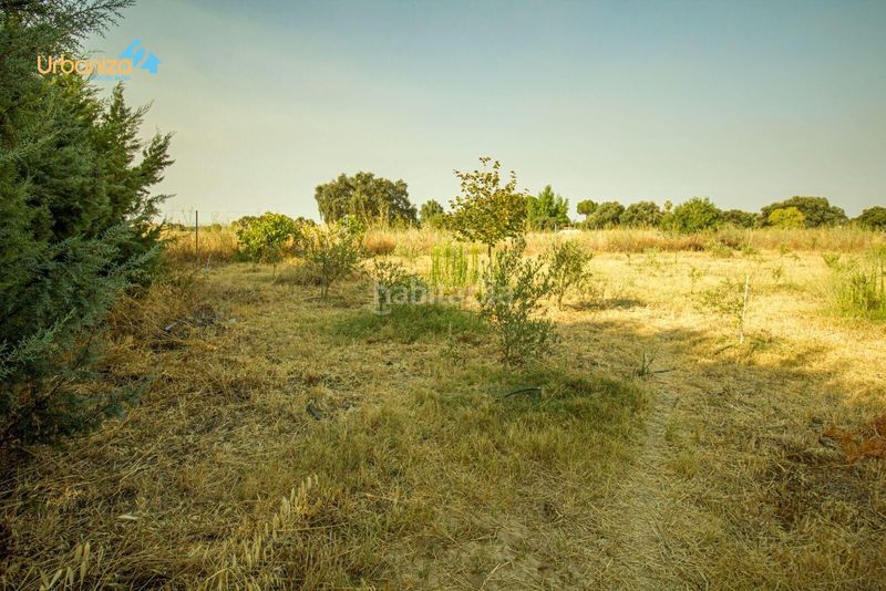 Foto ce585596-34b8-4237-b0b9-6f4591e48842. Xalet amb calefacció aparcament piscina a Dehesilla de Calamón - Campomanes Badajoz