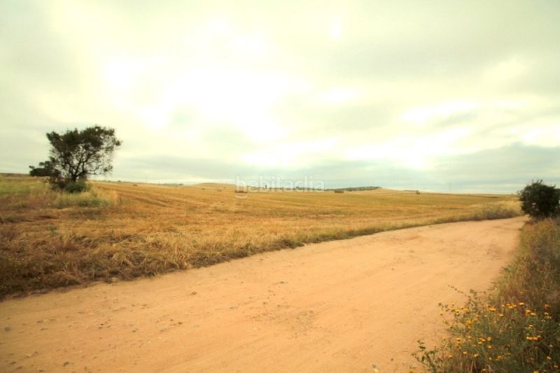 Foto c8afd5b5-dfa0-4be8-96a5-756e502558e4. Terreny residencial a Las Vaguadas Badajoz