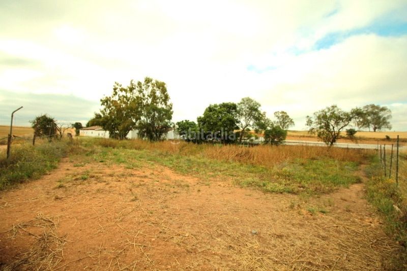 Foto d8d29c01-028d-4498-80f0-453a7be0b51b. Terreny residencial a Las Vaguadas Badajoz