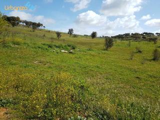 Terreny residencial a Carretera de Sevilla - Los Montitos. Parcela rustica en la urbanizacion las rozas de 1250mtrs muy cer