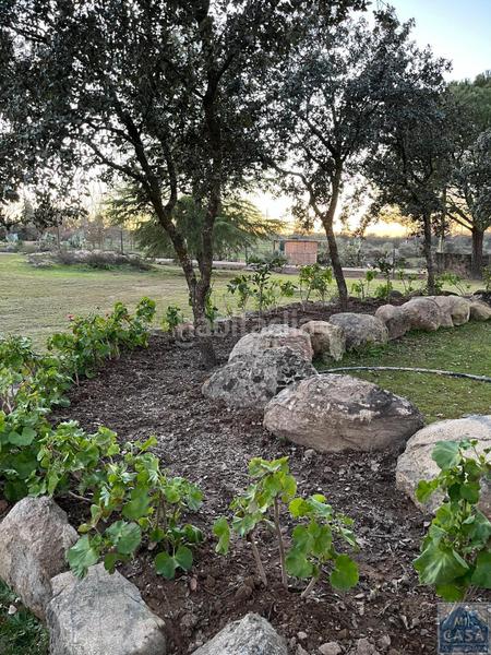 Foto bcc273c1-3b5c-414e-b1d0-af32de321c52. Country house in Trujillanos