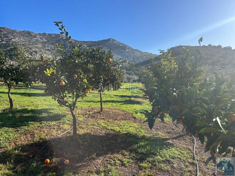 Foto 67bb0492-1d4b-4ad9-8dc6-a7d9c5e7b340. Casa amb calefacció aparcament piscina a Alange