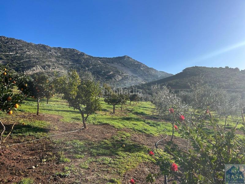 Foto bf76bc4e-05c8-4c5b-9622-fc9c953a3999. Casa amb calefacció aparcament piscina a Alange