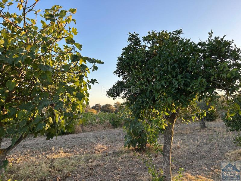 Foto 141c81f7-e736-42b4-bd3e-55f5df373627. Casa a Sur Mérida