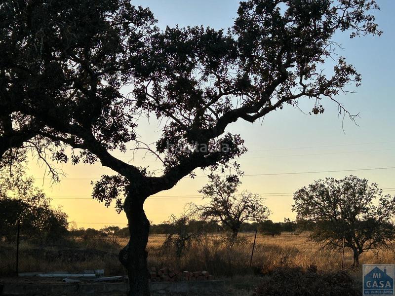 Foto 905f0b8b-d165-4ed0-a6e7-2675593c055f. Casa a Sur Mérida