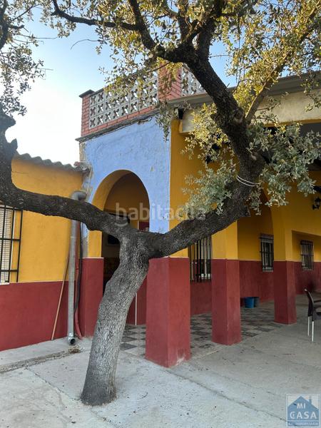 Foto c84ab538-2ce7-44ee-8ae7-d545e9bbbace. Casa a Sur Mérida