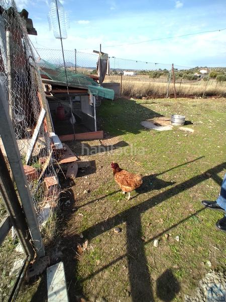 Foto 948ba547-402e-4fcf-9637-ffebf0363704. Mas dans Sur Mérida