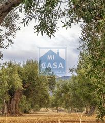 Casale in Centro. Mirandillafinca rustica