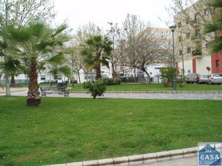 Local Comercial en Sur