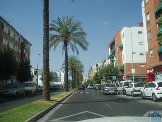 Lloguer Local Comercial a Este. Méridalocal