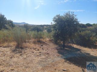Terreno residencial en Sur. Méridaterreno