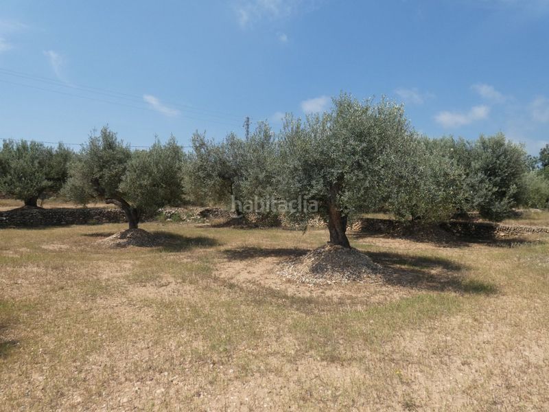 Foto ccd927f3-cf53-43fe-a0e7-34334a46aa9d. Masia a Ampolla (L´)