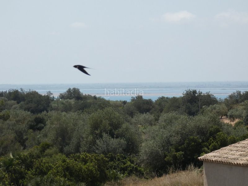 Foto fecdbe0e-254f-47cf-ac4c-e2f809c9f09f. Masia a Ampolla (L´)
