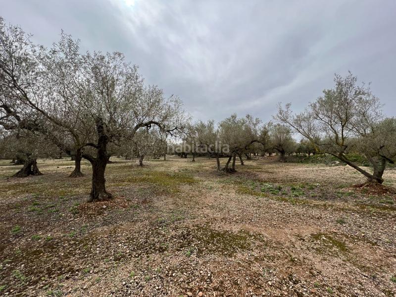 Foto 86cc476b-b9cd-47e4-939d-bea36826e9df. Country house in Roquetes