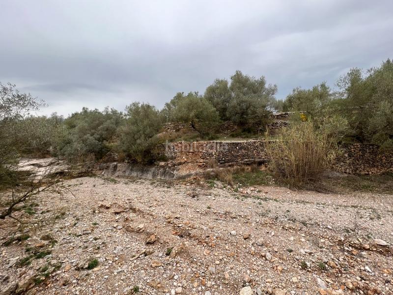 Foto 9cce5d9e-3af7-4686-a849-ff4b01a43958. Country house in Roquetes