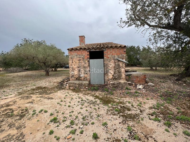 Foto a3c603a3-014d-4926-a94d-3192ec1ffb9e. Country house in Roquetes