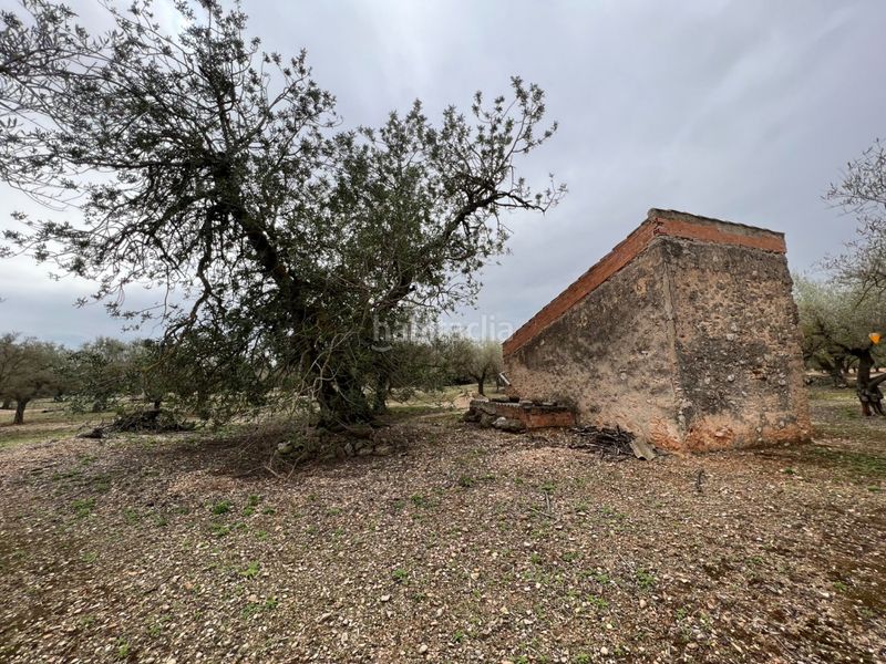 Foto d870579d-461d-49a4-958d-b3bc88a108de. Masia a Roquetes